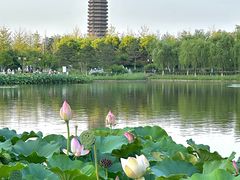 -西海子公园