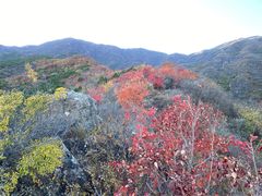 -北京凤凰岭