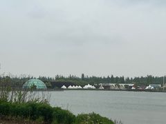 -上海都市菜园