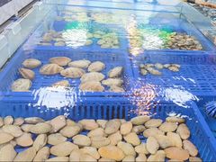-松雅轩商务婚礼生日(同和店)