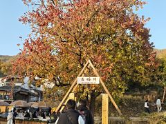 -塔川景区