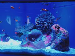 -上海海洋水族馆