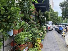 -溪岸路花鸟市场