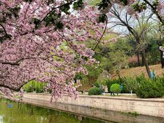 -元大都城垣遗址公园