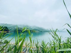 -酒仙湖景区
