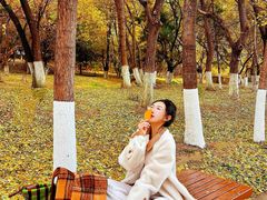 -长白岛森林公园