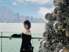 -海港城