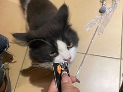 -陕西科学技术馆