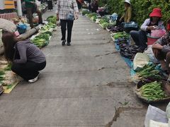 -南门绿玉农贸市场