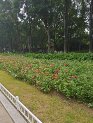 -玄武湖景区-情侣园游乐场