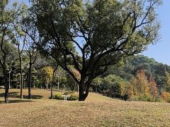 -云溪植物园