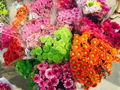 -秦美花卉(天朗·莱茵小城2期店)