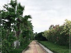 -北海金海湾红树林生态旅游区