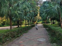 -南国桃园旅游度假区