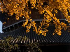 -北寺塔