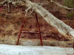 -藏山旅游风景区