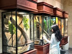 -帕帕拉兹宠物(亚洲旗舰店)