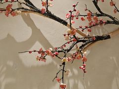 -小桃红·东北菜·春饼烤鸭(南阳湖街店)