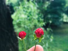 -泰安地下龙宫景区