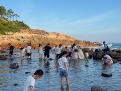 -广东惠东海龟国家级自然保护区