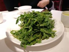 老醋茼蒿-山东老家(黄埔分店)