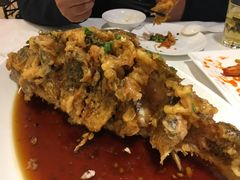 -金春禧(世茂国际广场店)