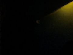 -贵足日记(双岗店)