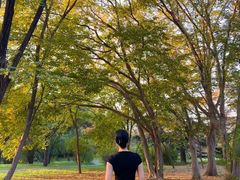 -国家植物园南园