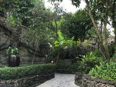 -海口观澜湖火山温泉谷