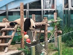 -大连森林动物园