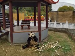 -杭州野生动物世界