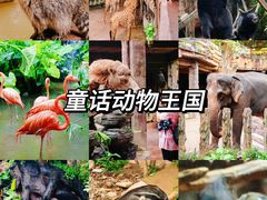 -长鹿旅游休博园