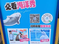 -海合安成都极地海洋公园