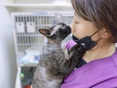 -爱侣·安琦尔宠物医院·中兽医针灸·心内科·狂犬免疫点(宝山区院)