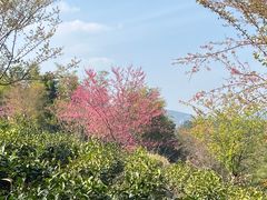 -院士公园
