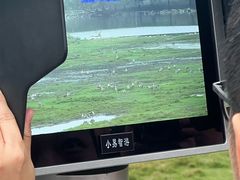 -北京麋鹿生态实验中心