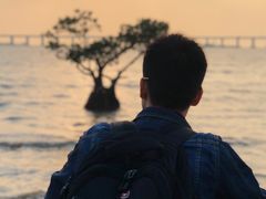 -宝安西湾红树林湿地公园