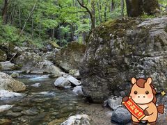 -牛背梁国家森林公园