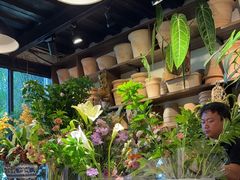 -自由生长植物工作室(深港花卉中心店)