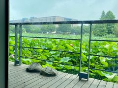 -3W咖啡(国家软件园店)