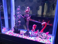 -巴特餐饮6加1音乐餐吧·新疆菜