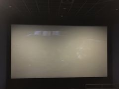 -幸福蓝海国际影城(河西店)