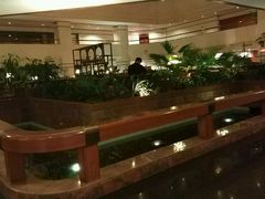 -西安阿房宫维景国际大酒店