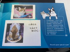 -美联众合动物医院·24h转诊中心