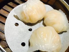 -糖朝(尖沙咀店)