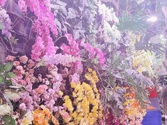 -正佳雨林生态植物园