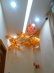 -芳朵美容养生SPA