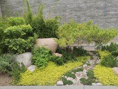 -迎泽公园