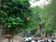 -回龙窝历史文化街区