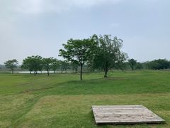 -盘龙城国家考古遗址公园